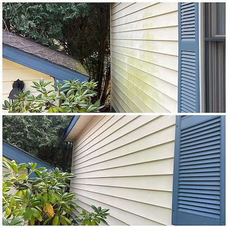 How Tree Cover, Shade, and Moisture Change Exterior Cleaning Needs in Grand Rapids Neighborhoods