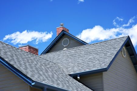 The Alabama Homeowner’s Guide to Soft Washing: Protecting Your Roof From Humid Algae Growth
